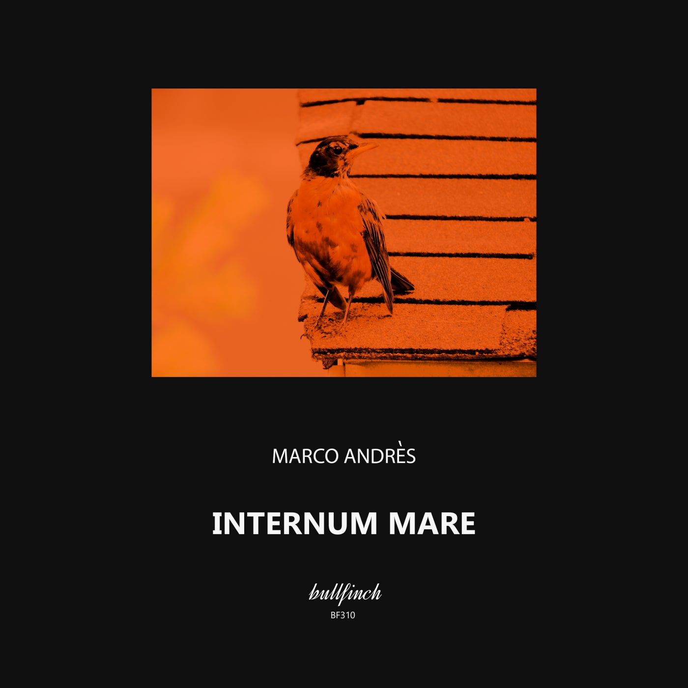 Marco Andres – Internum Mare [BF310]